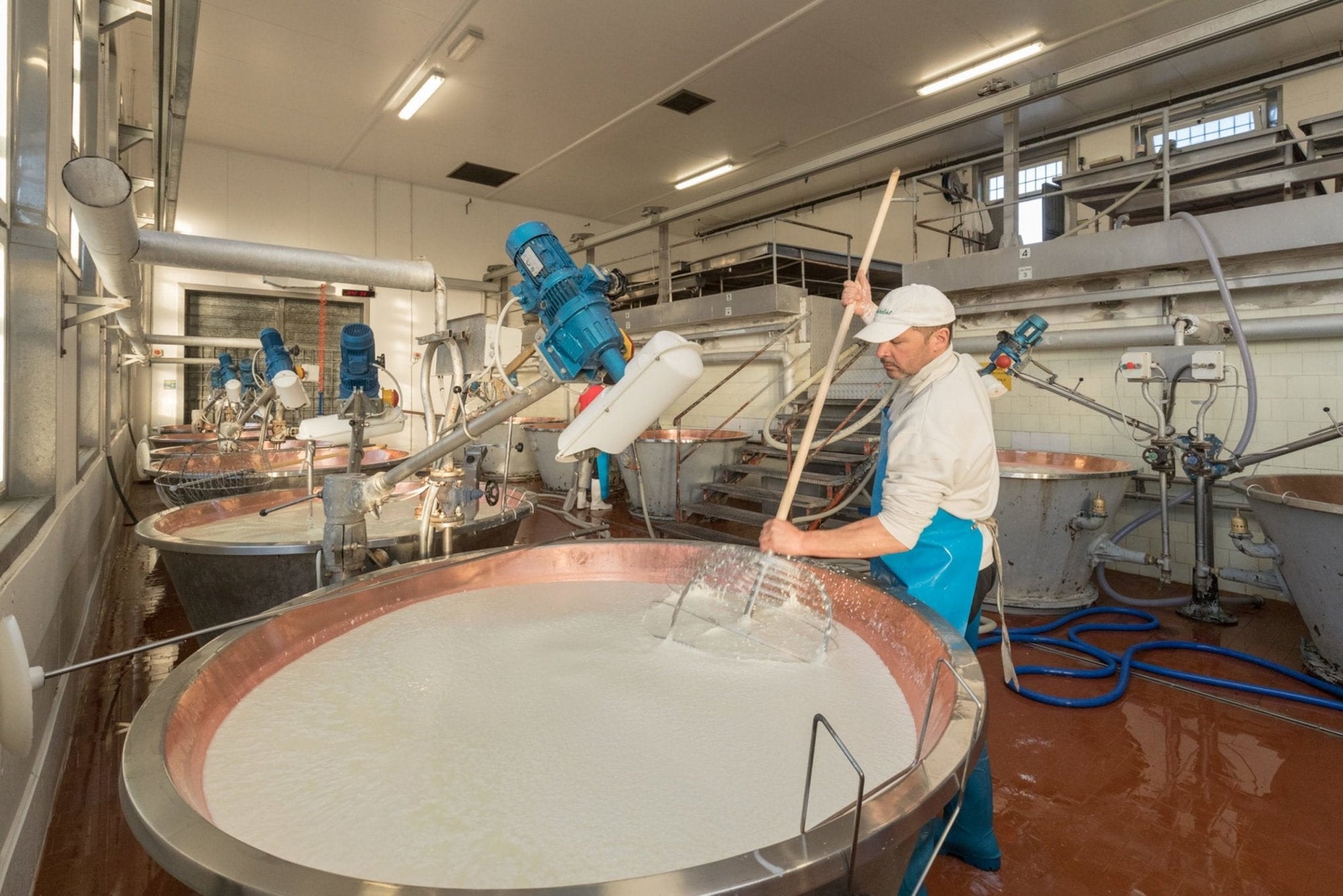Fresh Grated Parmigiano Reggiano DOP Mitica® 24 months